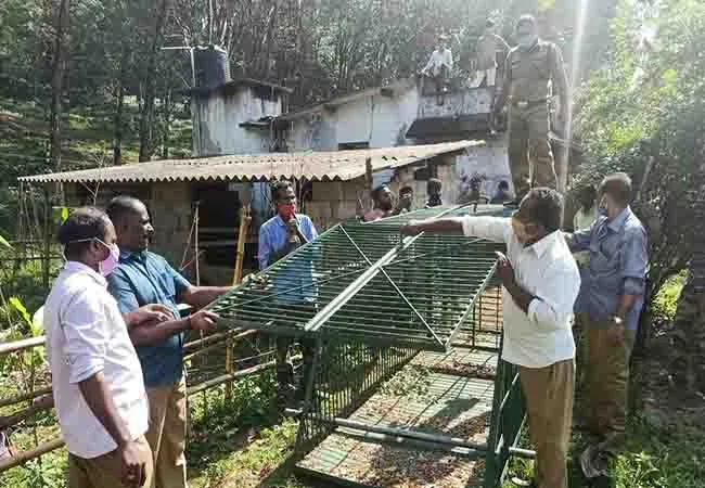tenkasi district Wolves animals peoples forest officers 